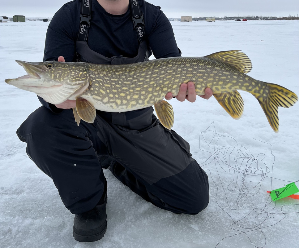 242D3CE5-72D6-4286-B07D-43325C5372C6