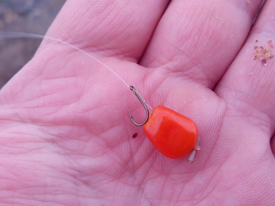 Добрянка 13.01.15-3