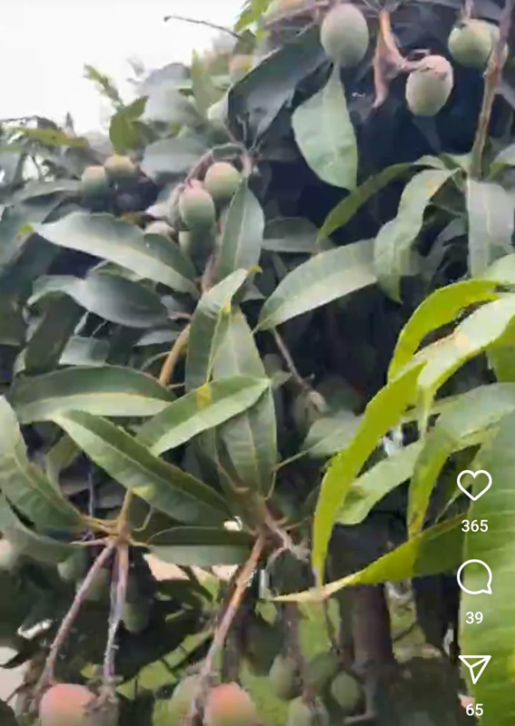 Screenshot_20240829_180025_Instagram