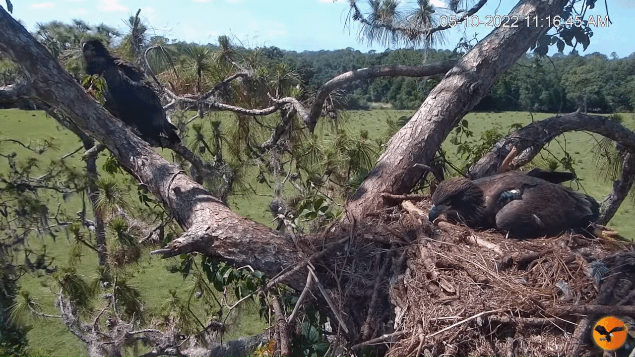 Webp.net-gifmaker (2)