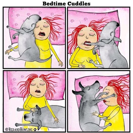 [Image: 159500759-511086070282573-8494166539810225072-n.jpg]