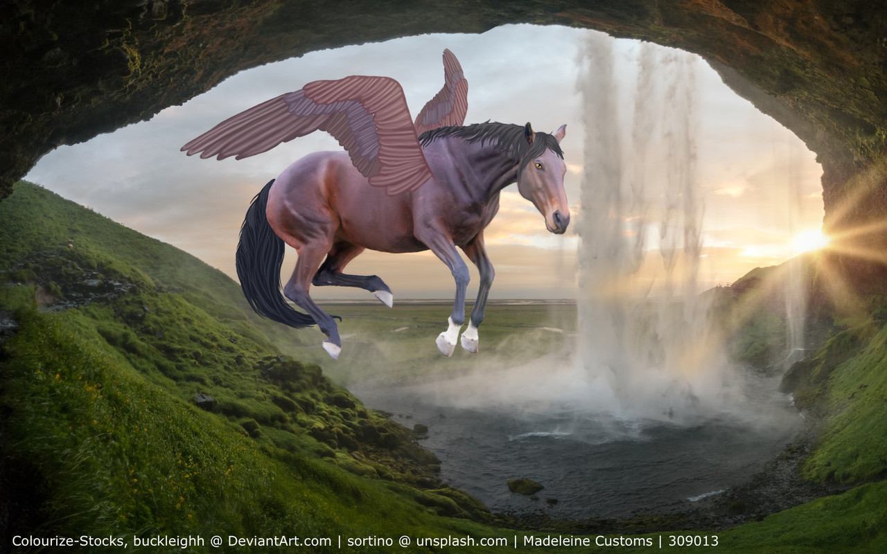 195A6C59-6AAA-4594-8653-830A449E984A