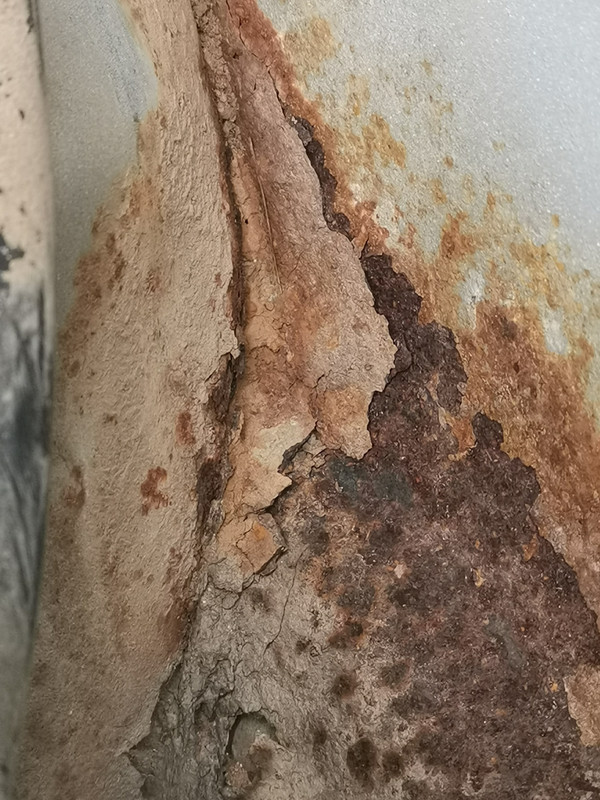 IMG_20200920_104144[1]