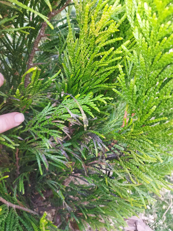 зображення_viber_2025-04-23_13-57-21-574