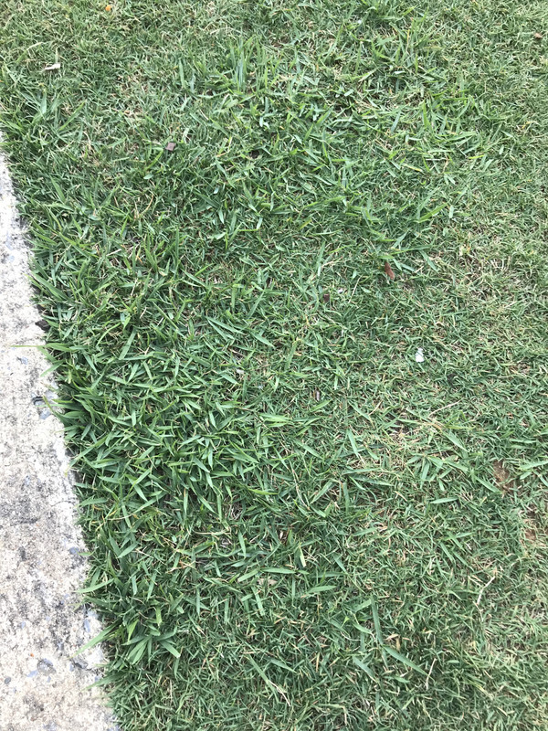 2355CA72-D439-4E5C-968E-41FD688DE7EE