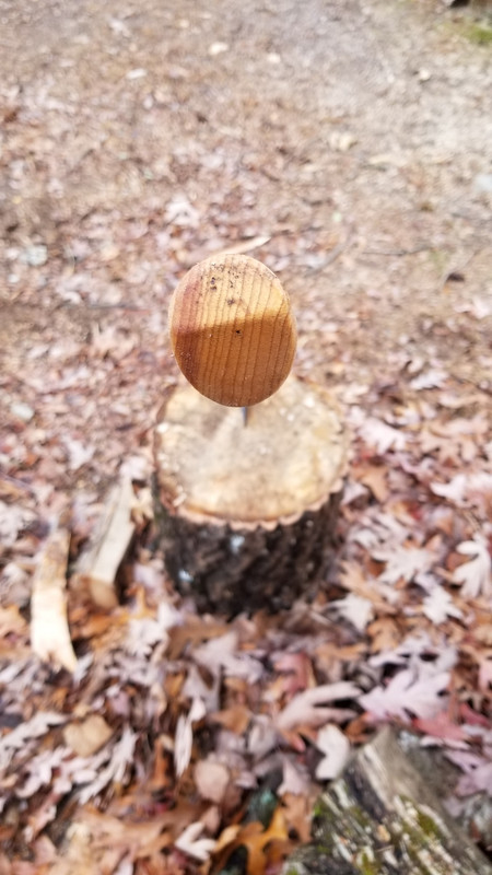 20191120-152909.jpg