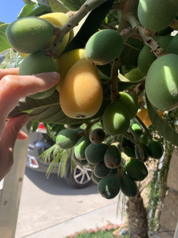 7FB880E9-83F4-4AB7-B9E8-F4D6B790FA4B