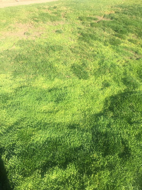 65598FC7-2B5C-4389-9DFF-76C0FCF5A8AF