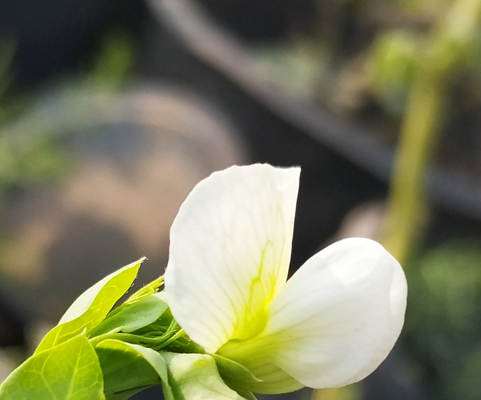 IMG_٢٠١٩١٢٢٥_١٤٣٩١٧