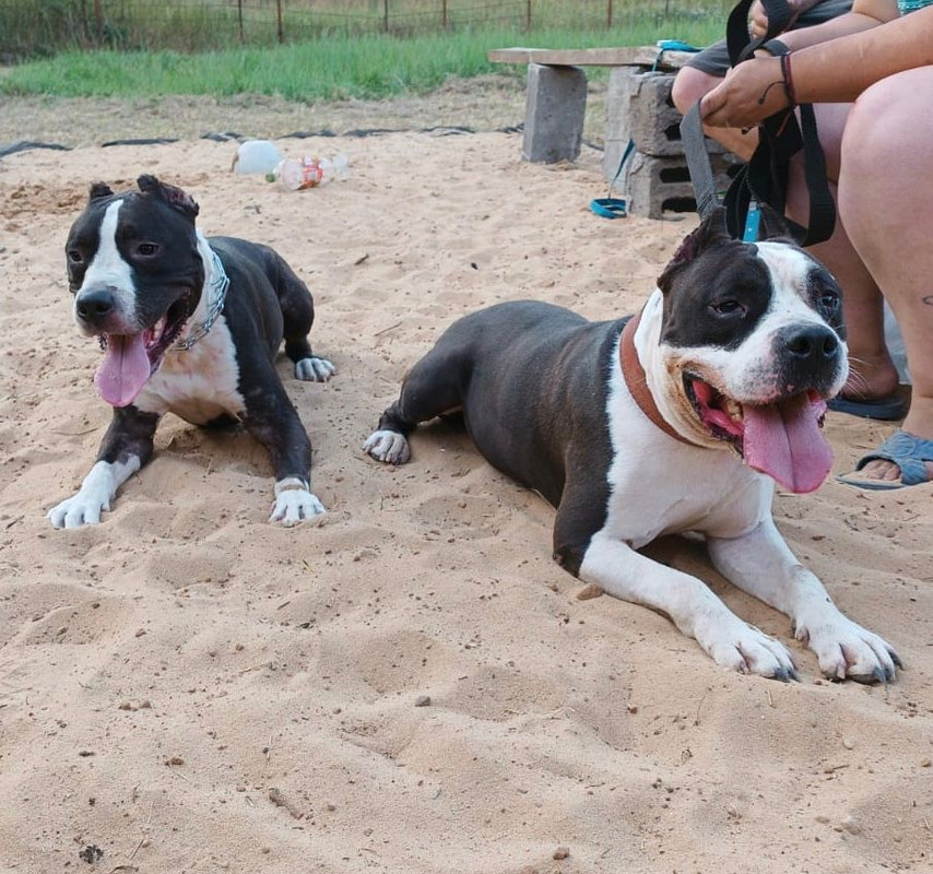 B54B0CED-7DC8-4202-831C-34B07B3022C6