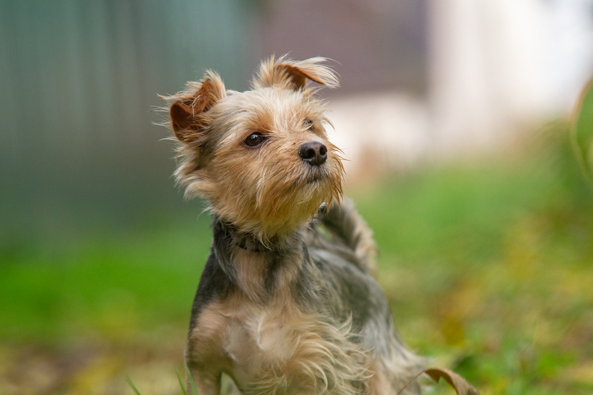 10r45YliOjmfKL0NO4Qp7rqEQdHNsE33n52W455_zOpC2Uwq7BU09BN-OEpbx8usMrRJg15FpMxCup3nxpAOpxdo