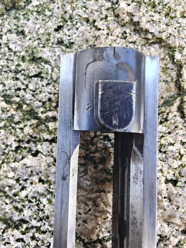 IMG20250321103728