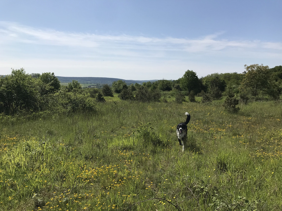 853B1B94-FA29-436C-93EE-F6BC286D47CA