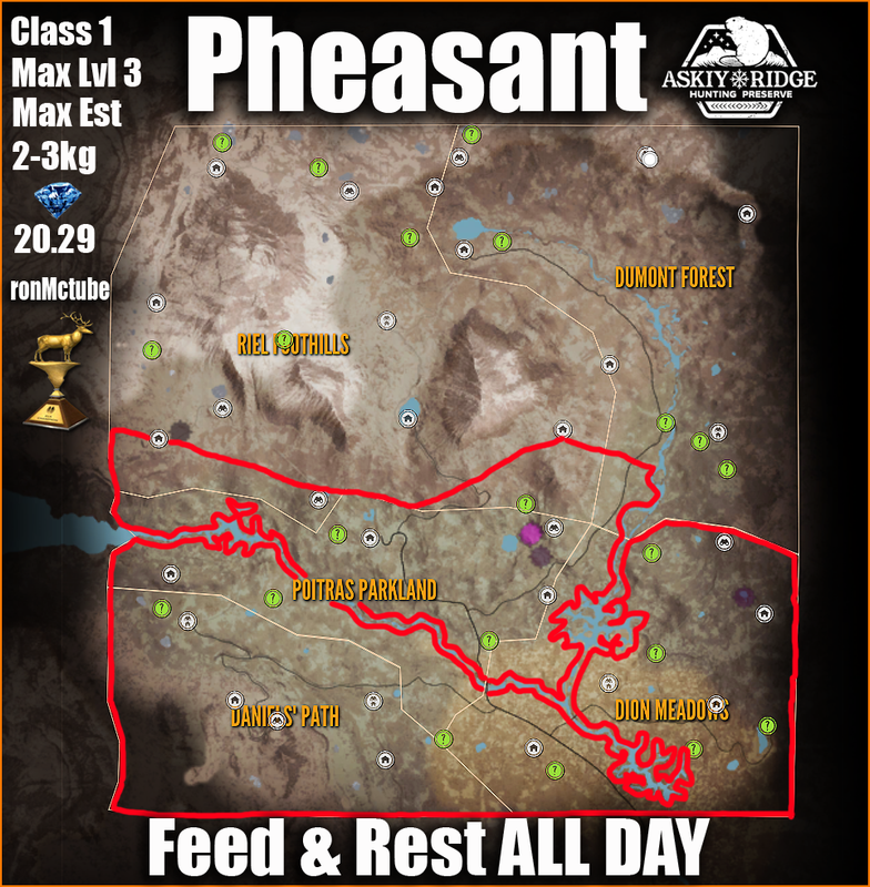 pheasant-map-askiy-ridge