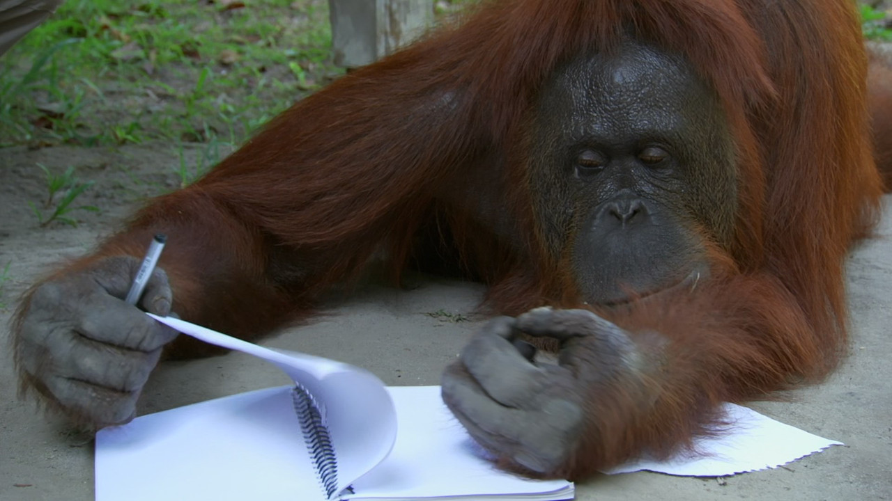 Monkey Planet (2014) - S01E01 - Meet the Family (1080p BluRay x2