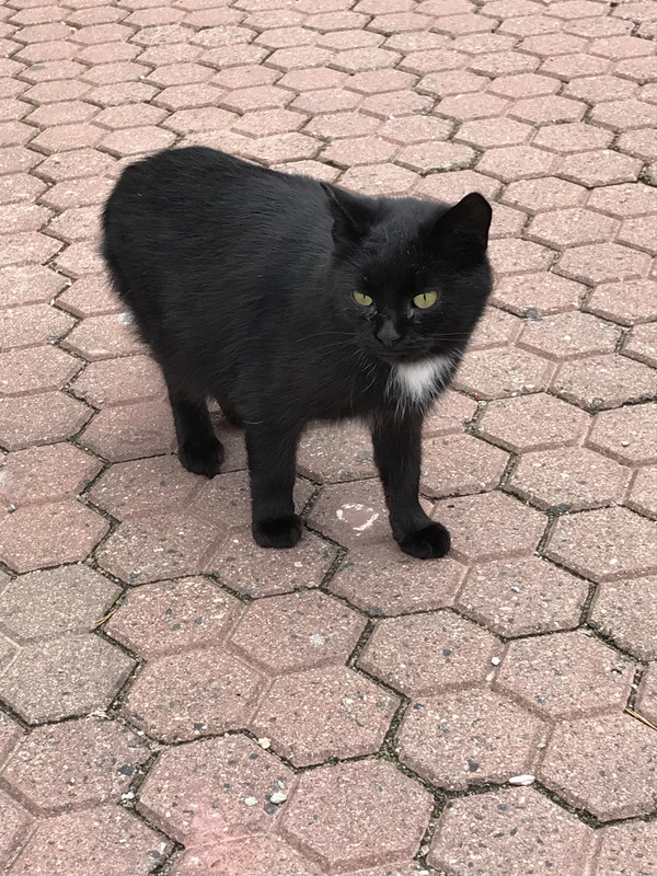 E2FFEE69-9521-4E92-88AB-EB095289E8D4