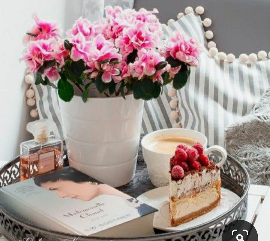 Screenshot_20230717_234004_Pinterest