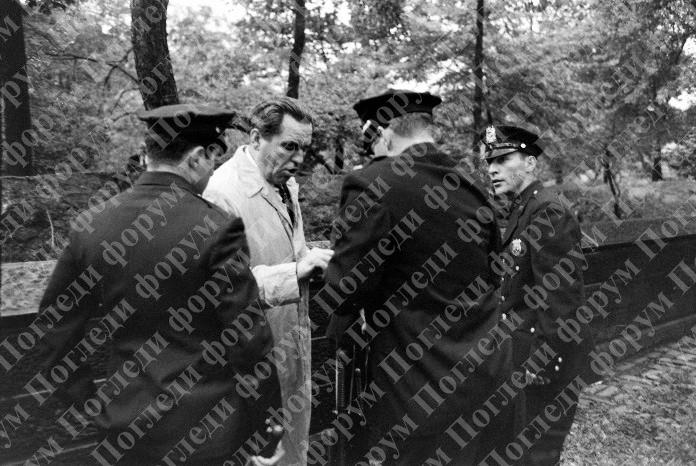 [Слика: image-8.jpg]