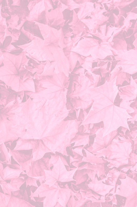 Autumn3