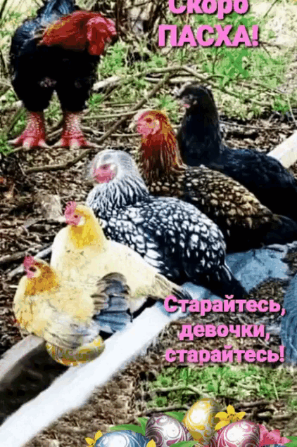 g-jpg-g-jpg-gif-gif-gif-gif