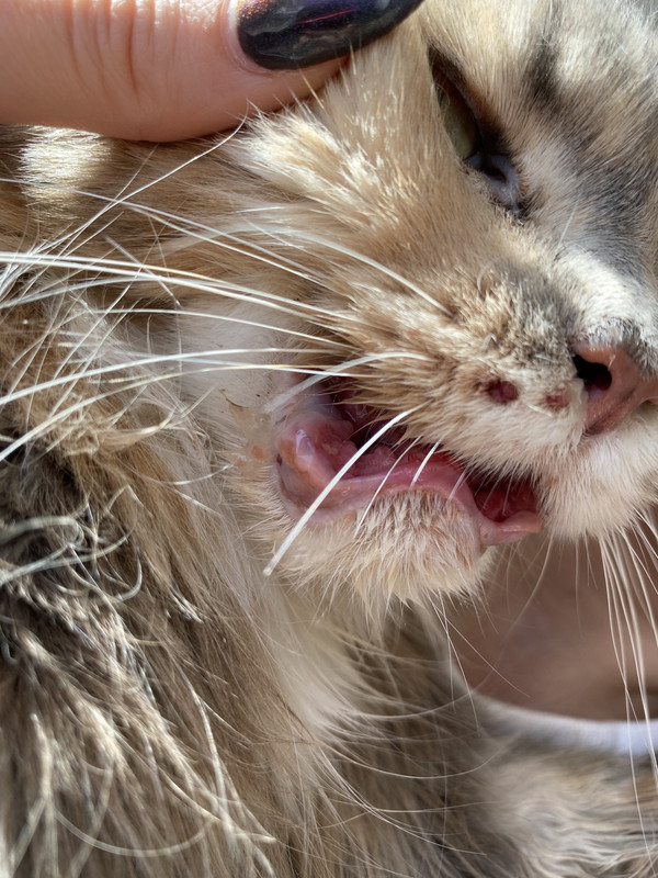 FB620DD6-70EE-4BD3-A321-4C5EF17EDED4