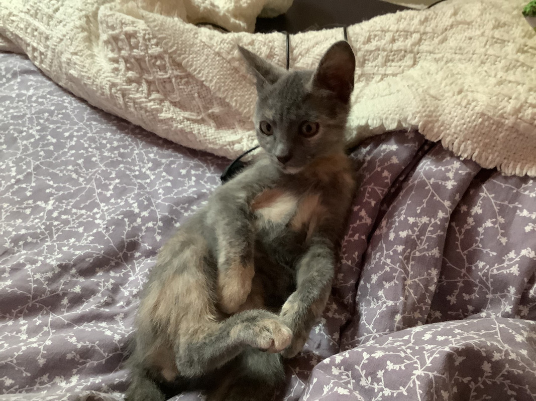 B9220581-FAB2-4260-A3EB-A6DBD152E0AE