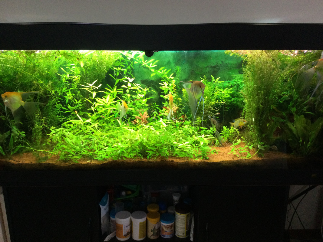 D7C3004E-3E8F-4A92-914E-CEA19295E722