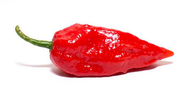 Ghost Pepper (Bhut Jolokia)
