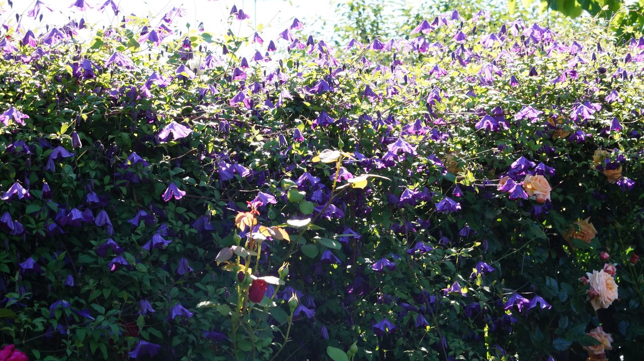 DSC02024