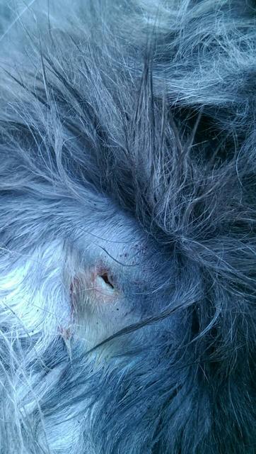 IMG-76605fa437818dd04f506cd085df1dac-V