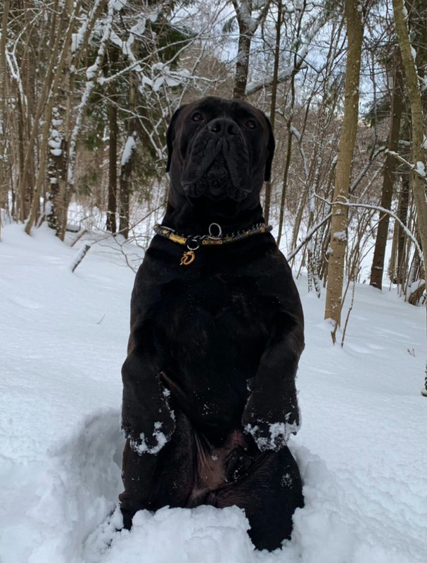 6fb50764-e573-499b-84cf-1ce6cb112eab (1)