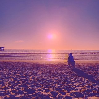 a sunset at venice beach, california