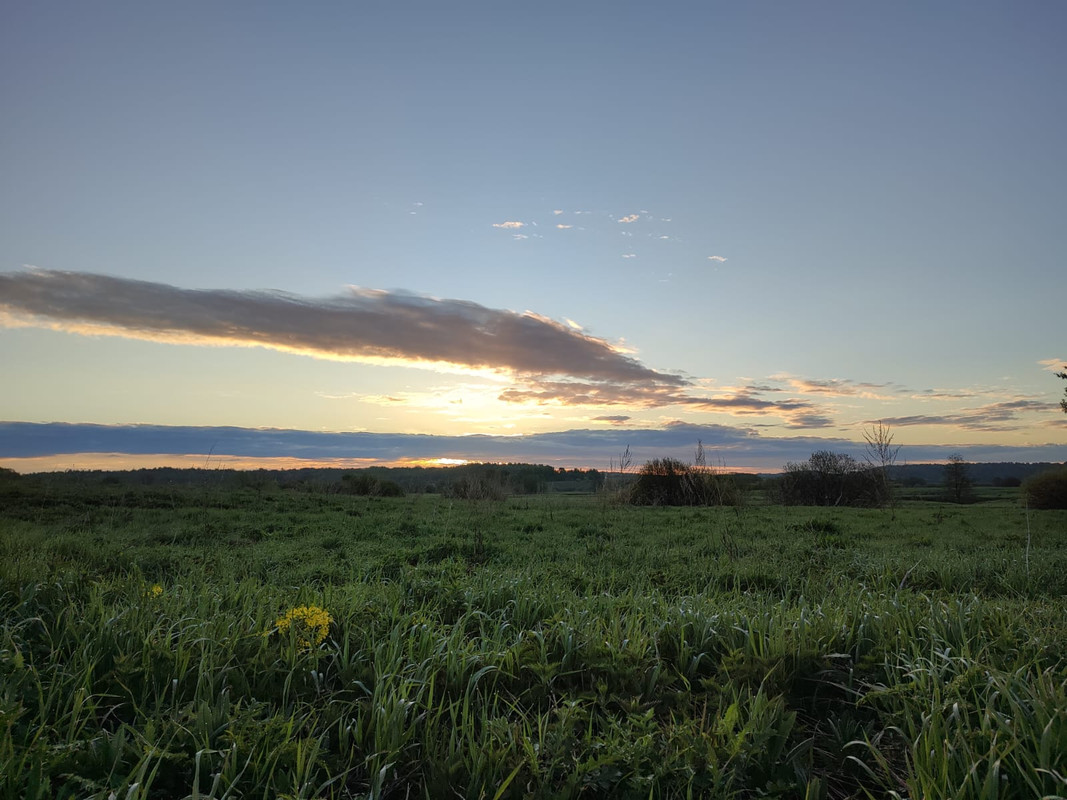 WhatsApp Image 2022-05-30 at 19.03.12 (2)