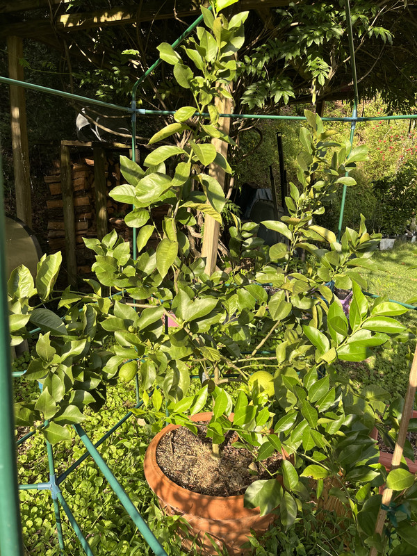 B35B459B-D975-48EF-AF00-C6A19AF5E6A8