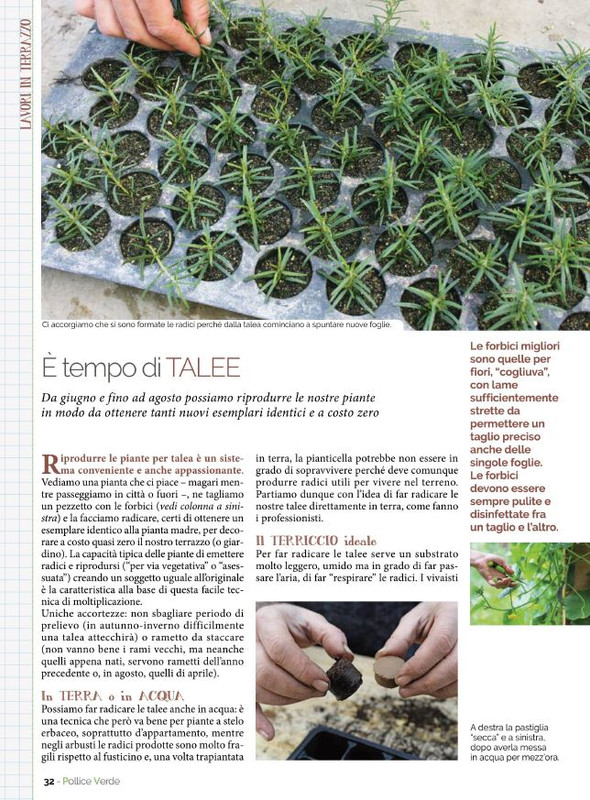 Pol Ver Giu 2022 (5)