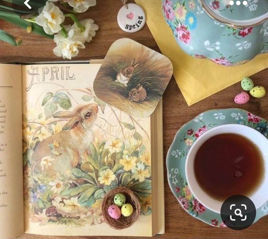 Screenshot_20230409_212425_Pinterest