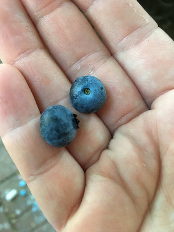 C2EADFC8-C242-4233-A741-E66EEAD3A43A