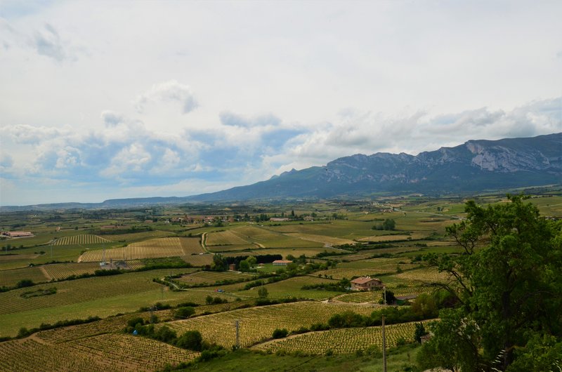 LAGUARDIA-21-5-2021-ALAVA - Los pueblos más bonitos de España-2010/2023 (79)