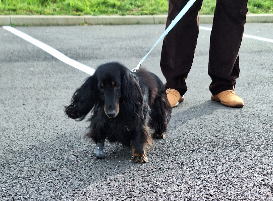 [Image: 20240213-160847.jpg]