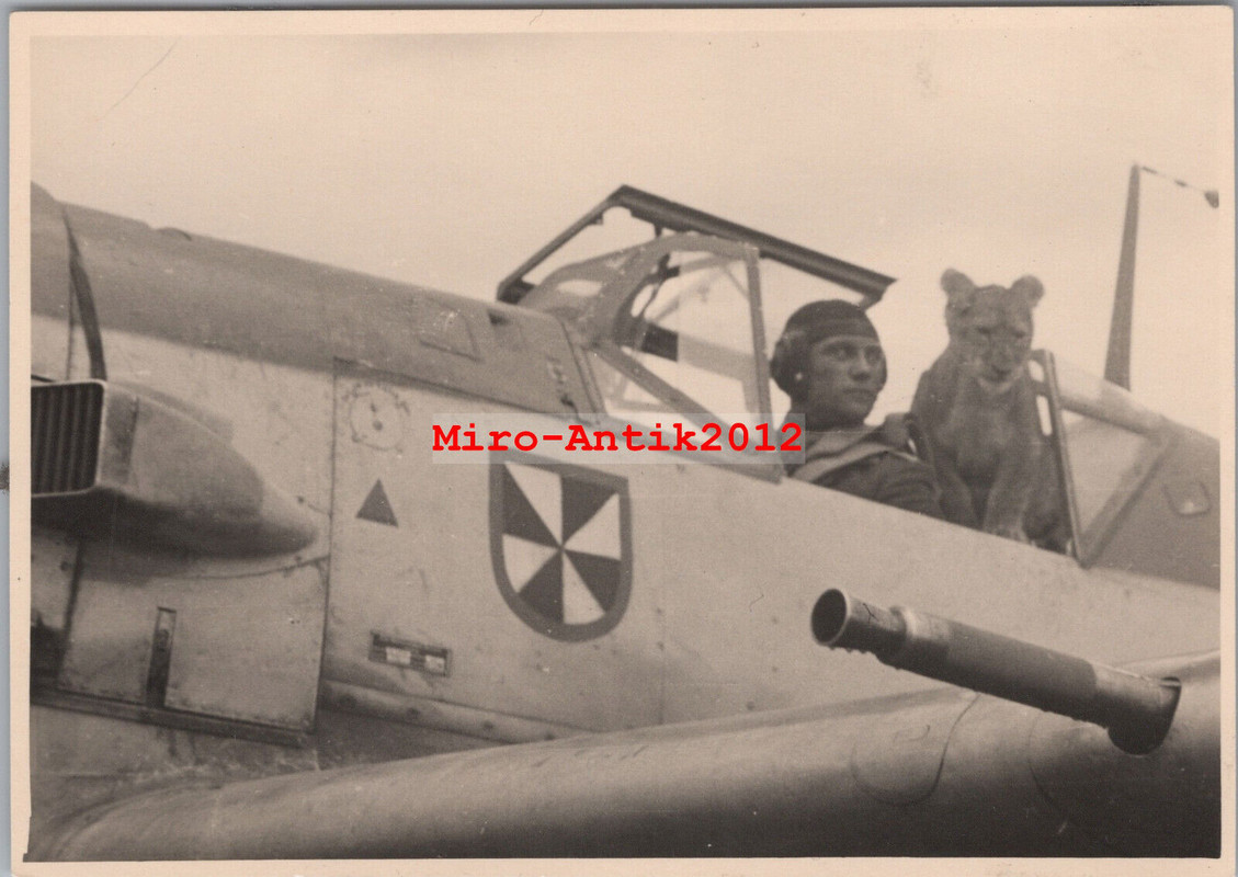 Foto, II.-JG3 -Udet- Simba als Copilot, Me 109, Berneuil Frankreich, 01 (N)50999