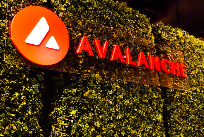 article imageКомпании Avalanche может вырасти в 10 раз