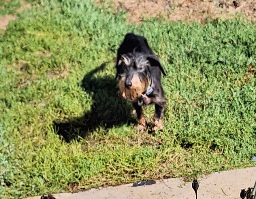 [Image: 20230821-112641.jpg]