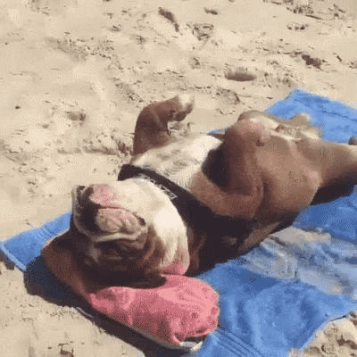 1000233586.gif