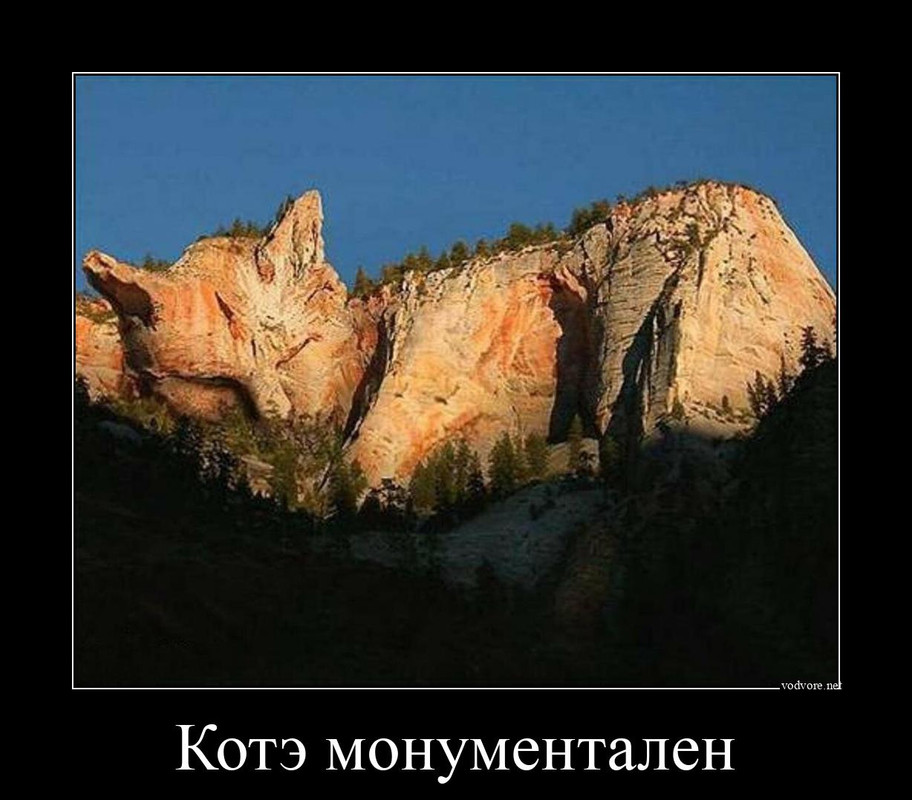 vodvore.net_112041843197087062