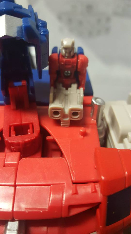 13336202_1030817740343101_768696908_n