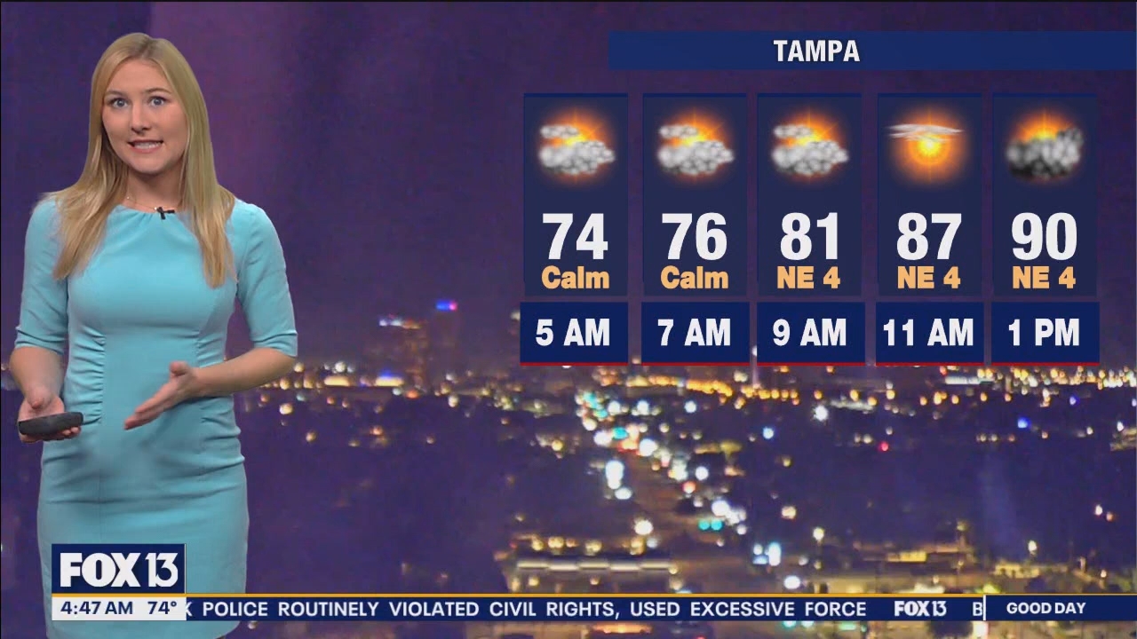 FOX13s Good Day Tampa Bay at 400am_20240614_09000930.ts_snapshot_48.36.619