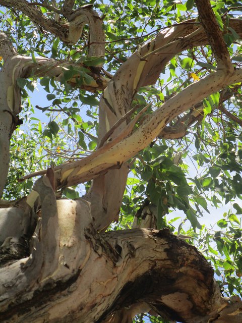 IMG-2648.jpg