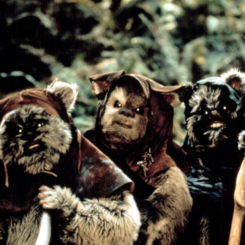 Security-ewoks-MSDREOF-EC078.jpg