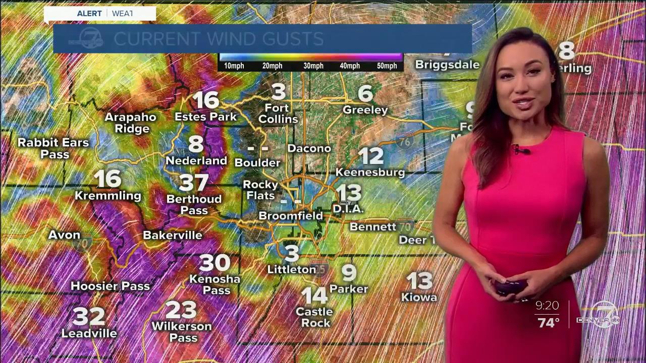 07 June - 16.00.00 - 7 News Now Sunday at 9 AM..ts_snapshot_00.20.44_[2020.06.07_17.53.56]