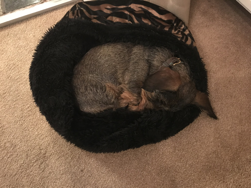 ED6A7945-BF46-4AFF-9ECA-83FB6FC0A303